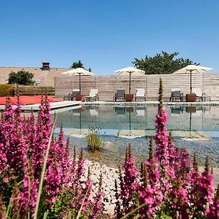 Haringerhof Mit Saunawelt Und Naturbadeteich Hotel Grafenhausen