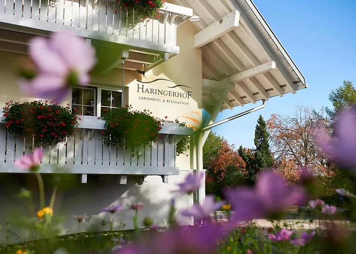 Haringerhof Mit Saunawelt Und Naturbadeteich 3* Grafenhausen